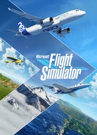 Microsoft Flight Simulator Offline Game